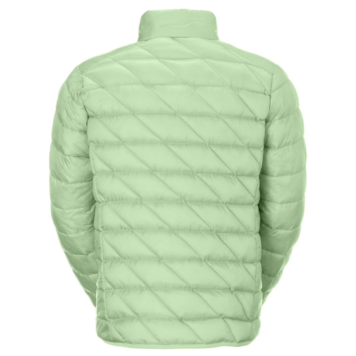 Scott Men's Insuloft Tech PL Jacket - vapour green (back)