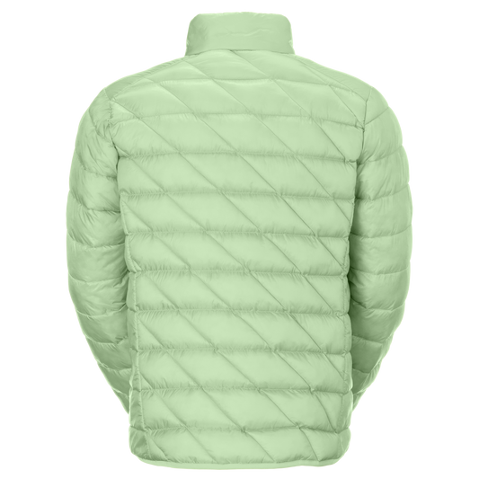 Scott Men's Insuloft Tech PL Jacket - vapour green (back)