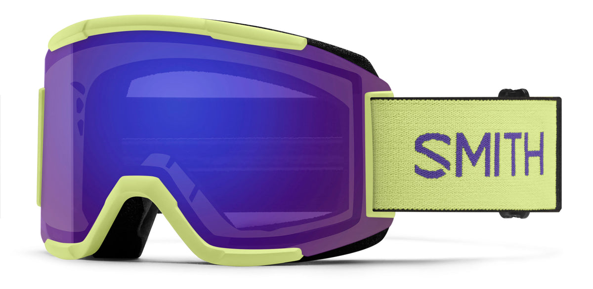 Smith Squad Goggle